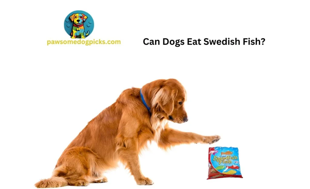 Can Dogs Eat Swedish Fish?